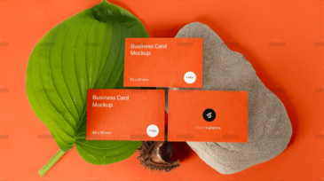 demo-attachment-1632-5q71up9s