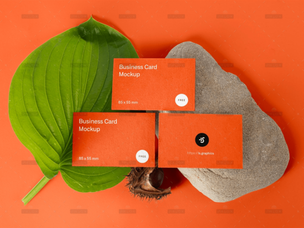 demo-attachment-1632-5q71up9s